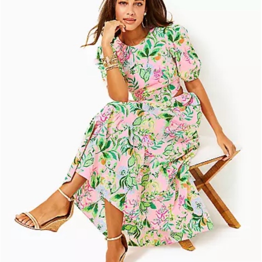 Lilly Pulitzer Pink and Green Floral Maxi Dress